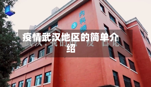 疫情武汉地区的简单介绍-第2张图片