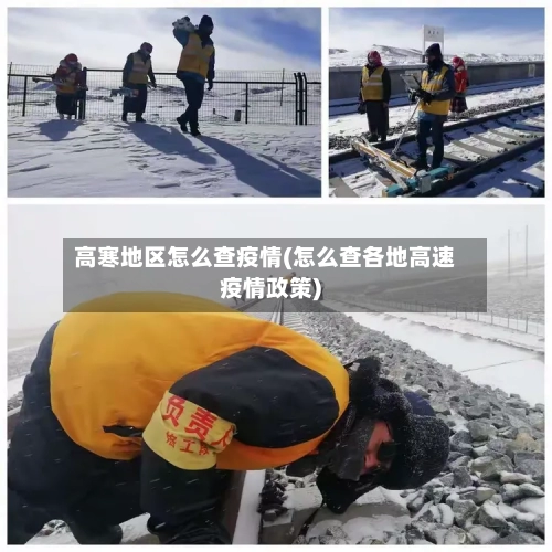 高寒地区怎么查疫情(怎么查各地高速疫情政策)