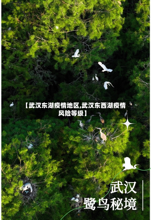 【武汉东湖疫情地区,武汉东西湖疫情风险等级】-第2张图片