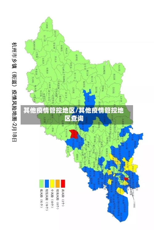 其他疫情管控地区/其他疫情管控地区查询