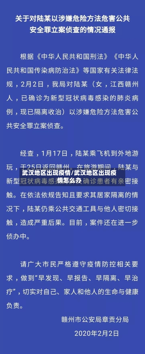武汉地区出现疫情/武汉地区出现疫情怎么办-第2张图片