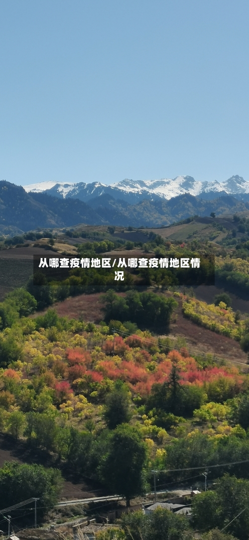 从哪查疫情地区/从哪查疫情地区情况