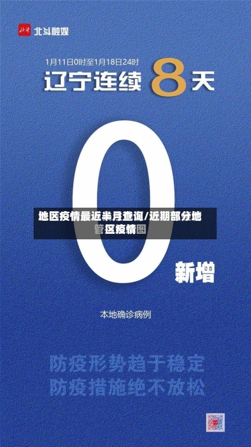 地区疫情最近半月查询/近期部分地区疫情-第2张图片