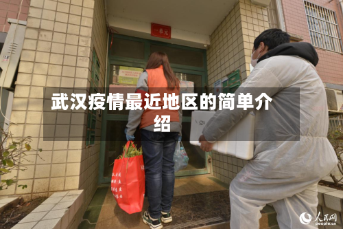 武汉疫情最近地区的简单介绍