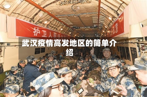 武汉疫情高发地区的简单介绍