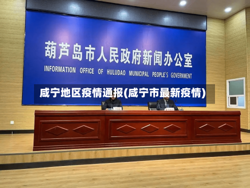 咸宁地区疫情通报(咸宁市最新疫情)-第2张图片