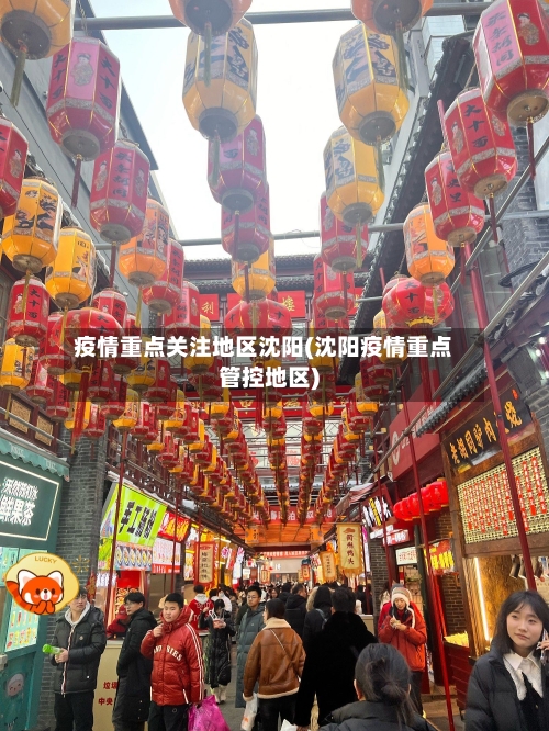 疫情重点关注地区沈阳(沈阳疫情重点管控地区)-第3张图片