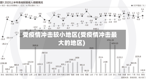 受疫情冲击较小地区(受疫情冲击最大的地区)