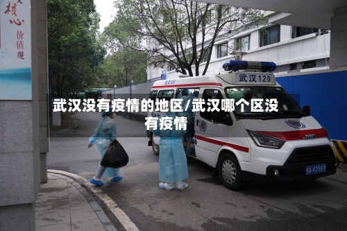 武汉没有疫情的地区/武汉哪个区没有疫情-第3张图片