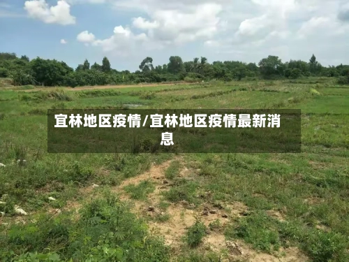 宜林地区疫情/宜林地区疫情最新消息