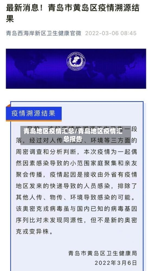 青岛地区疫情汇总/青岛地区疫情汇总报告