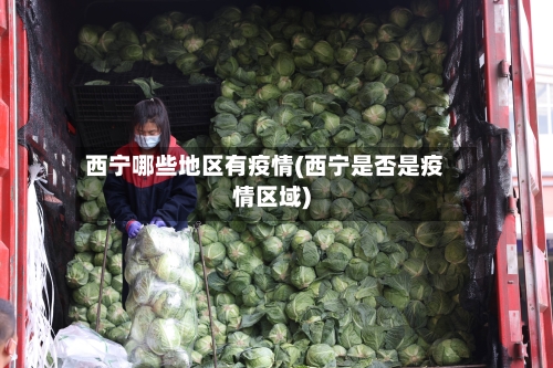 西宁哪些地区有疫情(西宁是否是疫情区域)