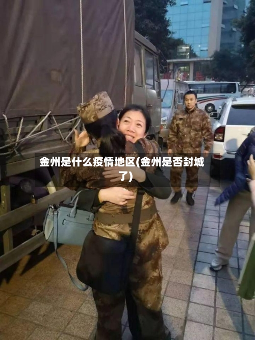 金州是什么疫情地区(金州是否封城了)-第3张图片