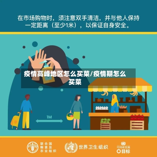 疫情高峰地区怎么买菜/疫情期怎么买菜