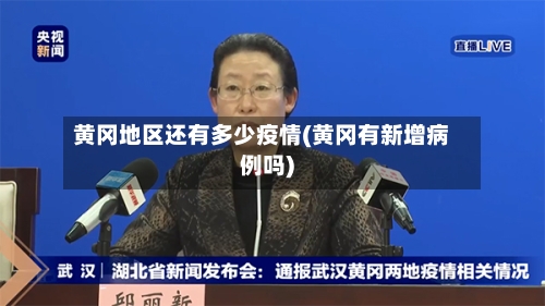 黄冈地区还有多少疫情(黄冈有新增病例吗)-第2张图片