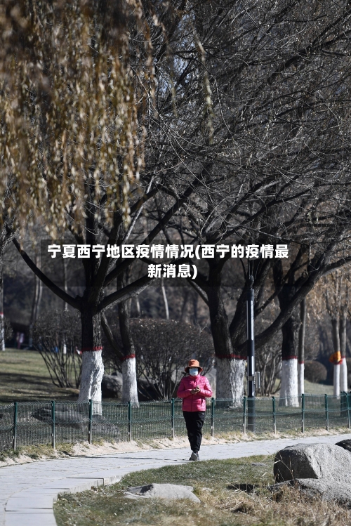 宁夏西宁地区疫情情况(西宁的疫情最新消息)-第2张图片