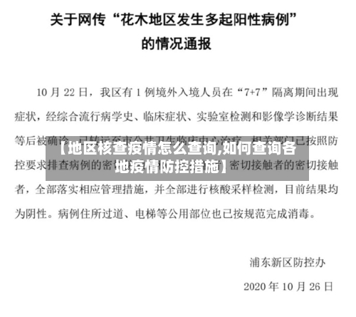 【地区核查疫情怎么查询,如何查询各地疫情防控措施】-第2张图片