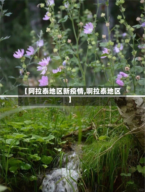 【阿拉泰地区新疫情,啊拉泰地区】-第2张图片