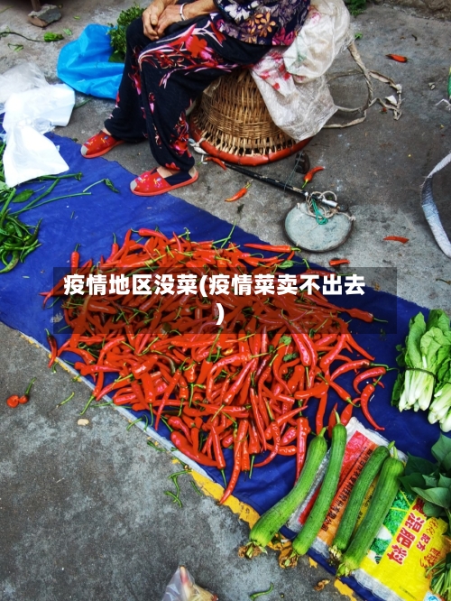 疫情地区没菜(疫情菜卖不出去)-第2张图片