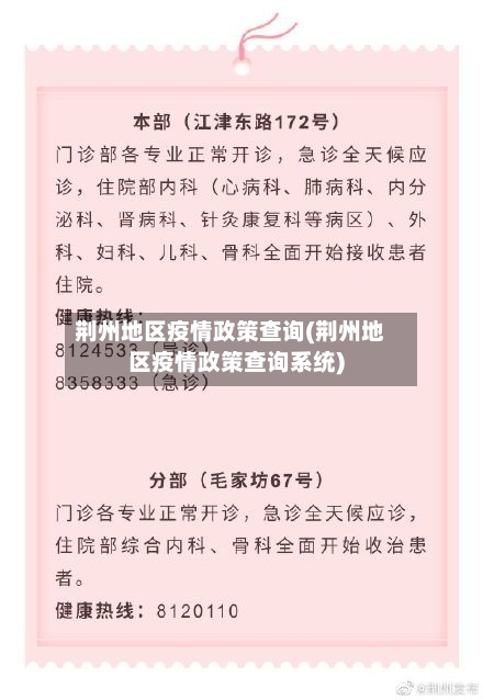 荆州地区疫情政策查询(荆州地区疫情政策查询系统)