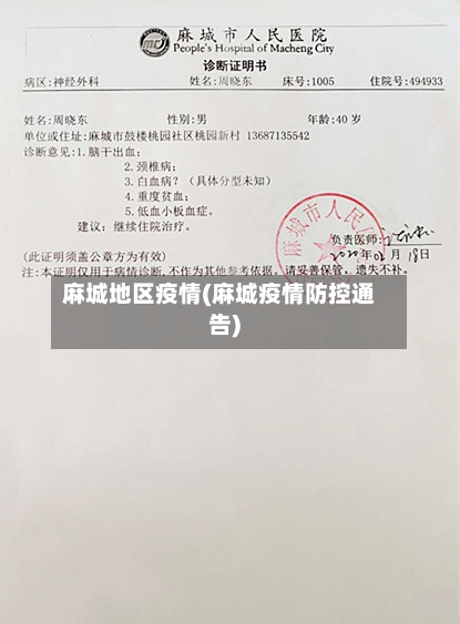 麻城地区疫情(麻城疫情防控通告)-第2张图片