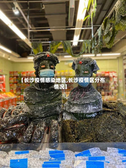 【长沙疫情感染地区,长沙疫情区分布情况】-第2张图片