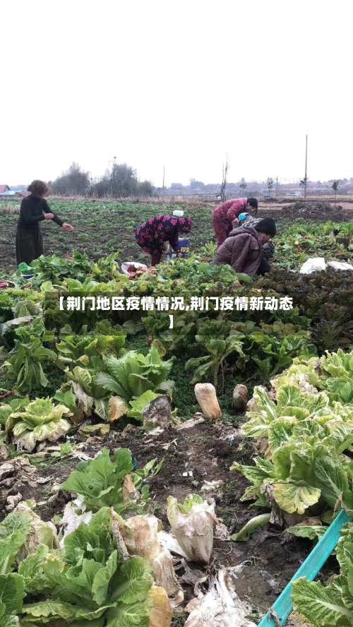 【荆门地区疫情情况,荆门疫情新动态】