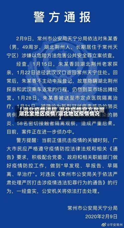 湖北全地区疫情/湖北地区疫情情况