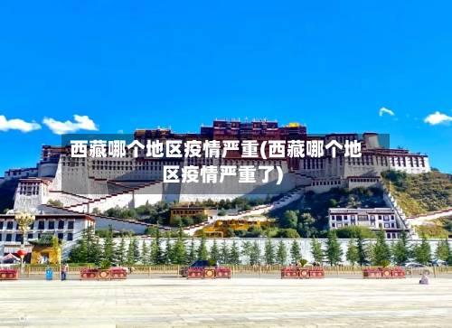 西藏哪个地区疫情严重(西藏哪个地区疫情严重了)-第2张图片
