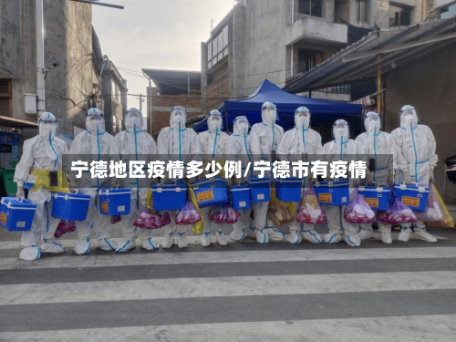 宁德地区疫情多少例/宁德市有疫情
