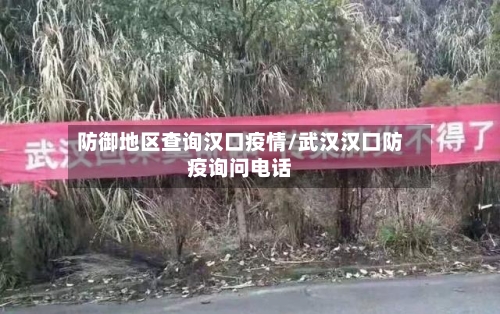 防御地区查询汉口疫情/武汉汉口防疫询问电话
